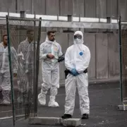 Dutch Hospital Workers in Quarantine After PPE Breach in Hantavirus Case