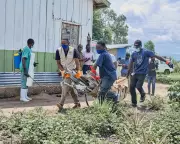 Ebola Vaccine for Current Outbreak Faces Six to Nine Month Wait, WHO Says