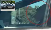 Elderly Tesla Cybertruck Driver Caught Sleeping as Vehicle Drives Autonomously