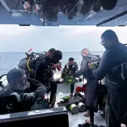 Elite Divers Rush to Maldives to Recover Bodies Before Sharks Arrive