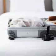 Essential Travel Rule to Avoid Bringing Bed Bugs Home