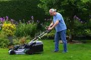 Expert guide to garden care during UK heatwave: 12 tips