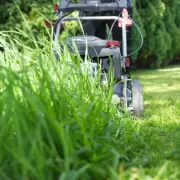 Expert Warns Against Triple Action Lawn Products in May