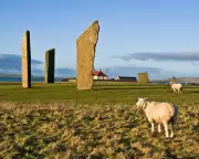 Explore Orkney's Neolithic Wonders for Just £2 on New Bus Fare Cap