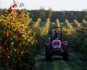Farming co-ops could boost UK food security and growth, report says