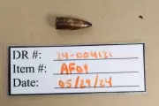 Florida landscaper shot in back by stray bullet from Air Force training range, lawsuit says