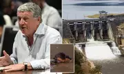 Former Brisbane Mayor Reveals City's Water Crisis Was a Lab Error