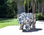 Frank Gehry Exhibition Celebrates Architect's Legacy at New York Museum