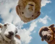 From The Sheep Detectives to Rivals: Your Complete Entertainment Guide