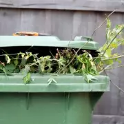 Garden Items No Longer Recyclable Under New England Bin Rules