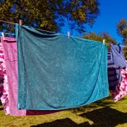 Gardener Warns Against Hanging Laundry Outside During High Pollen Season
