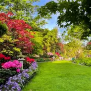 Gardener's 3-Step Guide to a Perfect Lawn All Summer Long