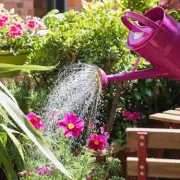 Gardeners Urged to Water Plants at 5pm for Best Results