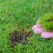 Gardening Expert Urges Homeowners to Use Lawn Sand in May for Greener Grass