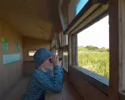 Gen Z Leads Birdwatching Boom as Hobby Sees 47% Increase Since 2018