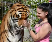 Germany's 'Tiger Queen' Faces Probe After Escaped Big Cat Killed