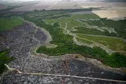 Gold Rush Drives Amazon Deforestation and Mercury Poisoning in Brazil