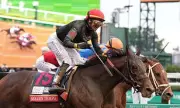 Golden Tempo Skips Preakness, Aims for Belmont Stakes