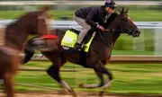 Golden Tempo Wins Kentucky Derby, First Female Trainer Triumphs