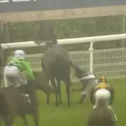Goodwood Races Abandoned After Winning Horse Slips, Jockey Falls