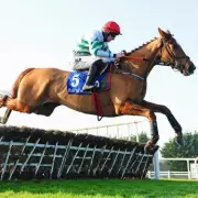 Gordon Elliott and Jack Kennedy Return to US with Zanahiyr for Iroquois Stakes