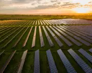 Green Transition Urgent: Politicians Must Accelerate Renewable Shift