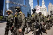 Gun and Drug Prosecutions Plummet as Trump Prioritizes Immigration