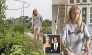 Gwyneth Paltrow's Home Tour: Sliding Ladder Kitchen Stuns Fans