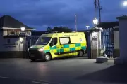 Hantavirus Cruise Evacuation: Irish Passengers Safely Home