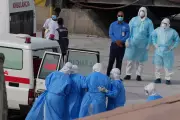 Hantavirus Surge in Argentina Linked to Climate Change Amid Cruise Outbreak