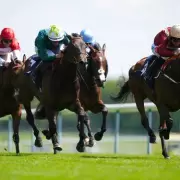 Haydock Race Delayed After Hole Discovered on Track During ITV Fixture