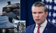 Hegseth Won't Confirm US 'Kamikaze Dolphins' in Iran Standoff