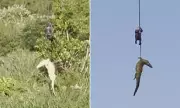 Helicopter Rescue of Crocodile with Human Remains in South Africa