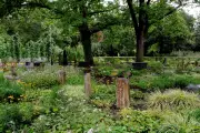 Hertfordshire Town to Reuse Century-Old Graves Due to Space Crisis