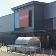 Home Bargains £4.99 Classic Plant Pot Lasts Season After Season
