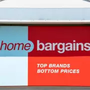 Home Bargains £50 Chair Looks Chic Like Next's £250 Version