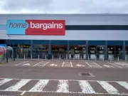Home Bargains £7 Solar Fountain Adds Magical Touch to Gardens