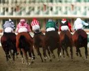 Horse Racing Faces Green Party Scrutiny but Need Not Fear Debate