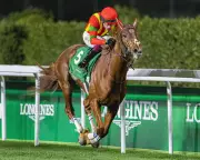 Horse Racing's Dark Side: Oppressive Regimes and Gambling Harm