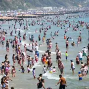 How Britain Will Look in 50 Years as Heatwaves Transform the Country