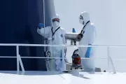 How Scientists Identified Hantavirus on a Cruise Ship Thousands of Miles Away