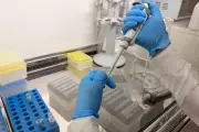 How the UK Quietly Became a Malaria Research Powerhouse