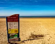 Hundreds of Dead Sharks and Fish Wash Up on Two Welsh Beaches