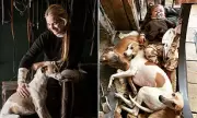 Huntswoman of Instagram Pleads for Return of Missing Whippets in Devon
