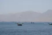 India Condemns Sinking of Cargo Vessel by Suspected Drone Strike