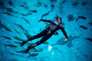 Injured US Veterans Find Relief Swimming with Whale Shark in Atlanta