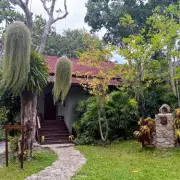 Inside Nigel Farage's billionaire donor's Thai island wellness retreat
