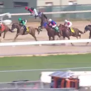Jockey Catapulted from Saddle After Horse Stumbles at Aqueduct
