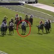 Jockey Diego Lima Banned 24 Days for Hitting Horse Over Head with Whip