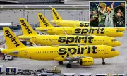 Joke Campaign to Buy Spirit Airlines Raises $88 Million in Pledges
